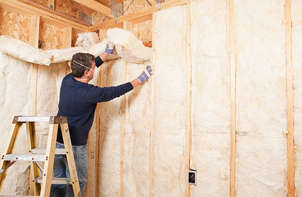 Best Basement Insulation in USA